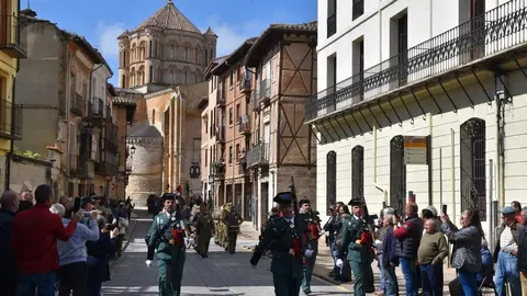 181 aniversario Guardia Civil, Toro_16