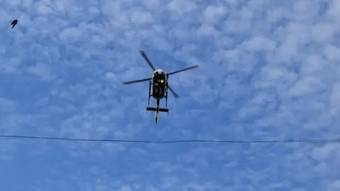 181 aniversario Guardia Civil, Toro_27