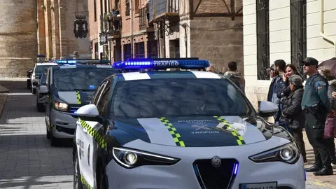 181 aniversario Guardia Civil, Toro_30