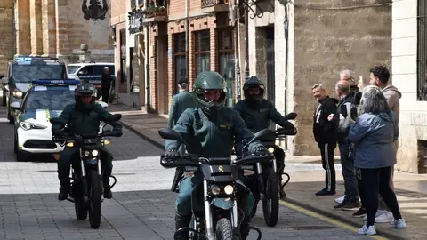 181 aniversario Guardia Civil, Toro_32