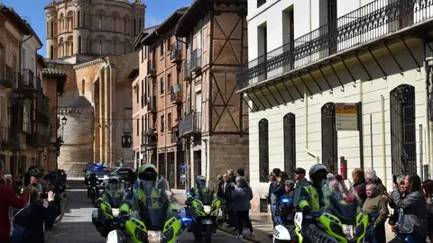 181 aniversario Guardia Civil, Toro_34