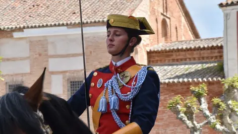 181 aniversario Guardia Civil, Toro_38