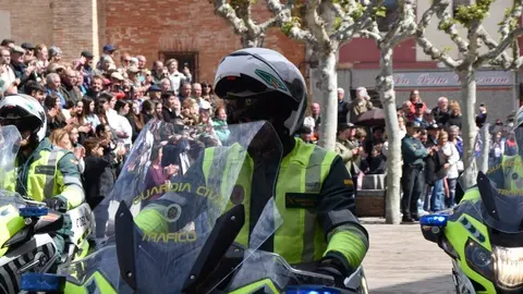 181 aniversario Guardia Civil, Toro_43