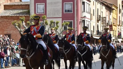 181 aniversario Guardia Civil, Toro_44
