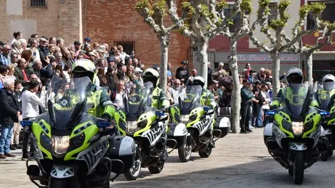 181 aniversario Guardia Civil, Toro_45