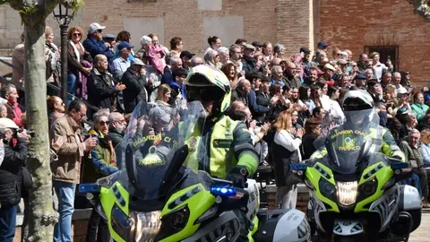 181 aniversario Guardia Civil, Toro_48