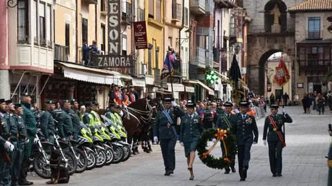 181 aniversario Guardia Civil, Toro_64