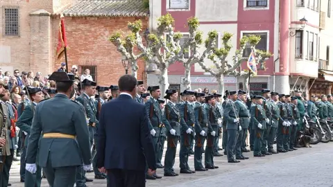 181 aniversario Guardia Civil, Toro_87