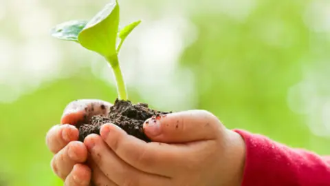 Salud Ambiental en la Escuela