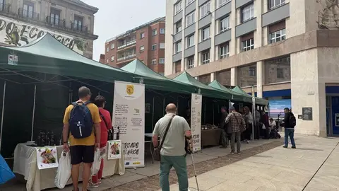 mercado ecológico de Zamora 