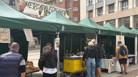 mercado ecológico de Zamora _6