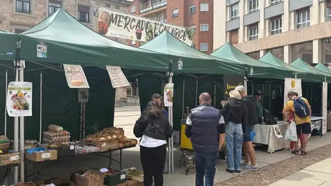 mercado ecológico de Zamora _7