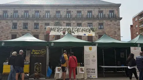 mercado ecológico de Zamora _8