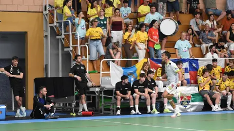 bm zamora fase ascenso (14)