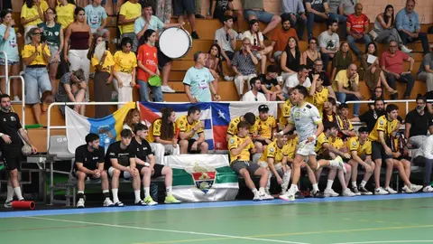 bm zamora fase ascenso (6)