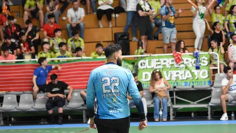 bm zamora fase ascenso (1)