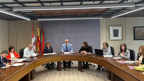 COMISIÓN TERRITORIAL COORDINACIÓN MAYO 1