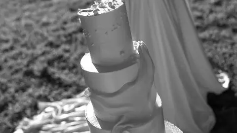 bodas en la granja (4)