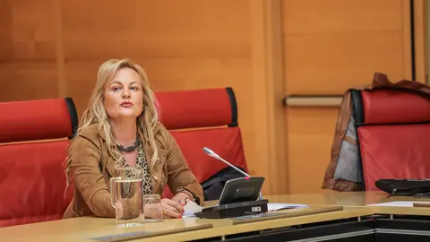 procuradora Marisa Calvo vox
