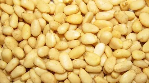 piñones