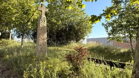 Cruz del Rey Don Sancho