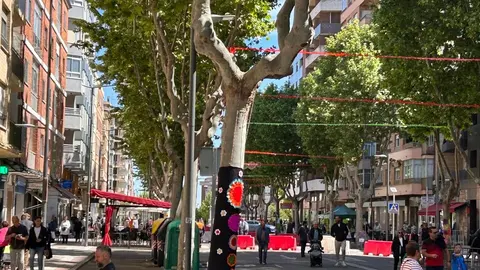 Avenida Tres Cruces, Fiesta del Comercio de Zamora