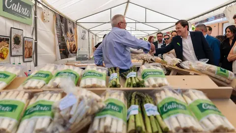 Feria del Espárrago de Tudela de Duero
