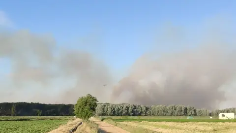 fuego villaralbo (5)