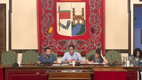 mesa de trabajo por la mejora de los servicios ferroviarios en la ciudad y provincia de zamora