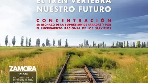 Concentración 'El tren vertebra nuestro futuro'