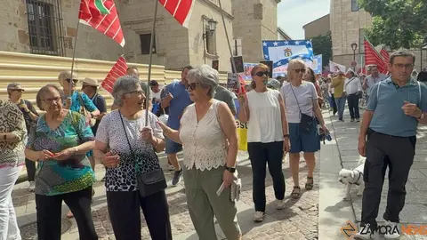 manifestación plantas de biogas Zamora _7