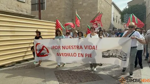 manifestación plantas de biogas Zamora _21