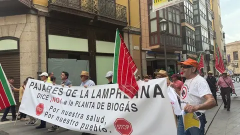 manifestación plantas de biogas Zamora _31