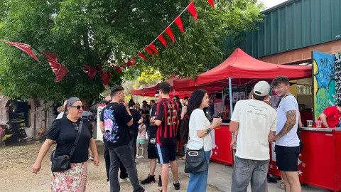 Fiesta de Izquierda Unida Mitin _38