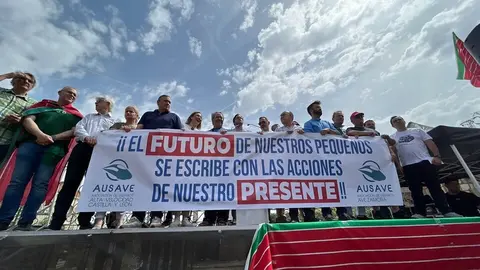 Manifestación contra supresión tren Zamora_4