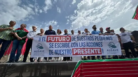 Manifestación contra supresión tren Zamora_6