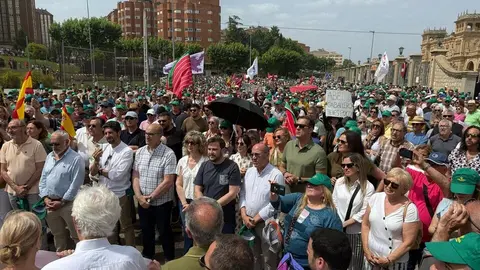 Manifestación contra supresión tren Zamora