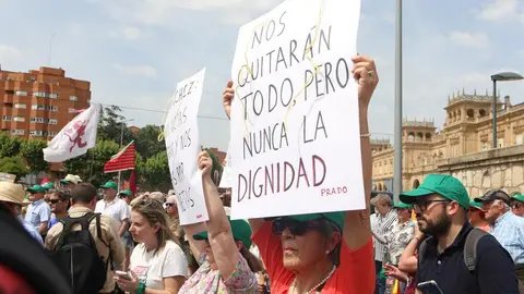 Manifestación contra supresión tren Zamora_11