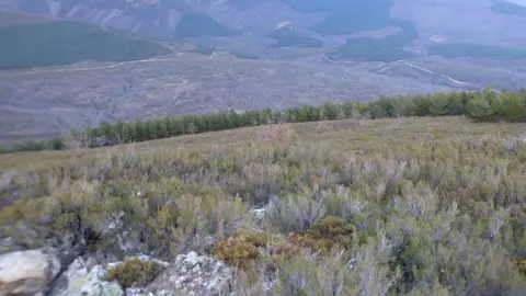 foto desde donde quieren instalar eolicas