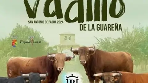 Cartel Fiestas Vadillo de la Guareña