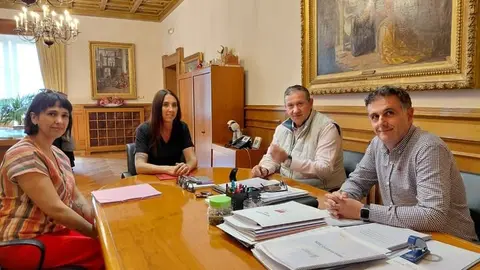 reunión Diputación de Zamora y centros TEA