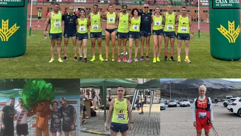 Zamora Corre