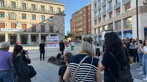 Zamora exige el regreso del AVE_8