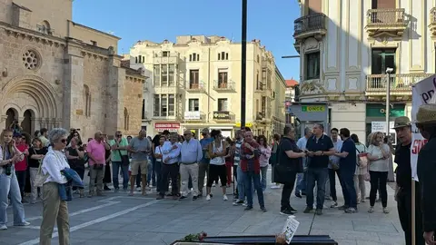 Zamora exige el regreso del AVE_9
