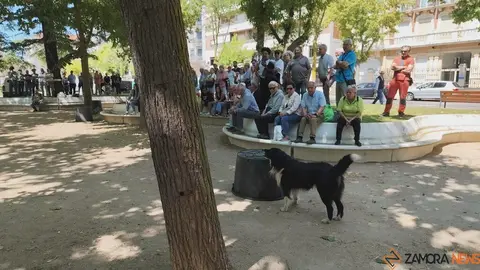 Día de las Fuerzas Armadas en Zamora_3