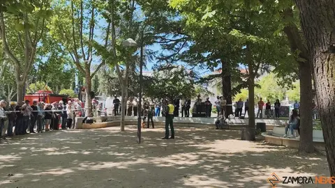 Día de las Fuerzas Armadas en Zamora_8