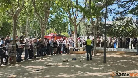 Día de las Fuerzas Armadas en Zamora_12