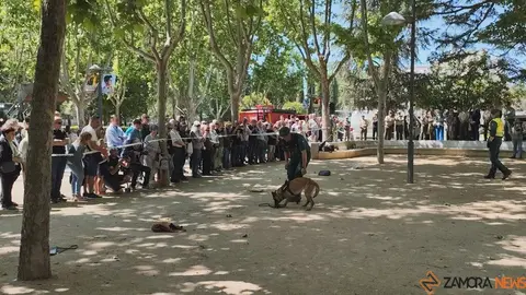 Día de las Fuerzas Armadas en Zamora_14