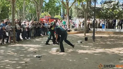 Día de las Fuerzas Armadas en Zamora_18