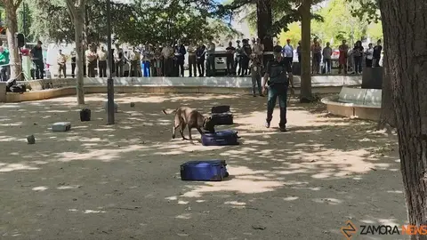 Día de las Fuerzas Armadas en Zamora_26